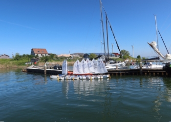 Simona 143
